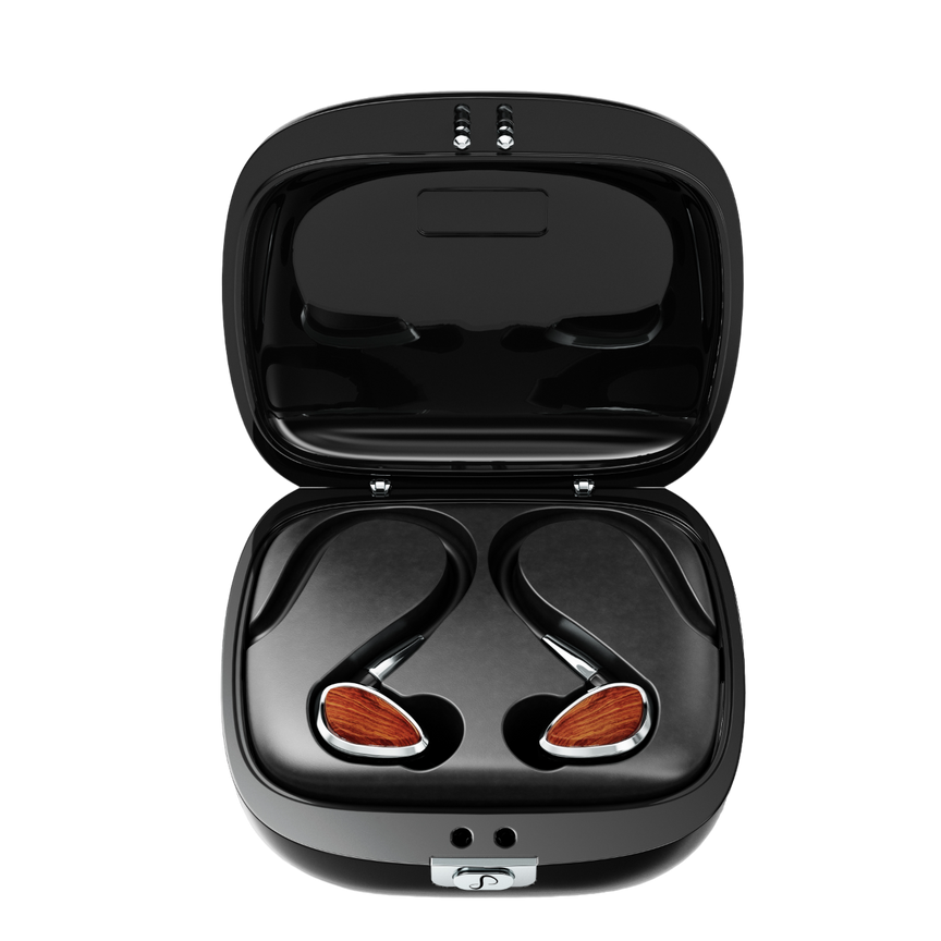 Q 5-Driver Earphone